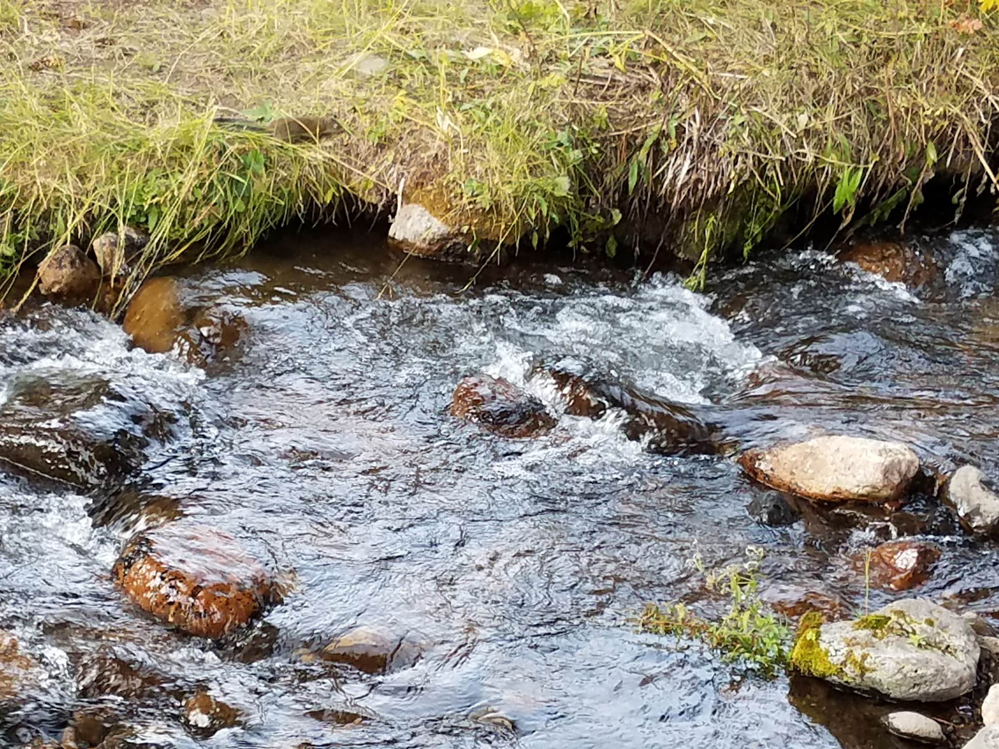 Cross Creek Campground