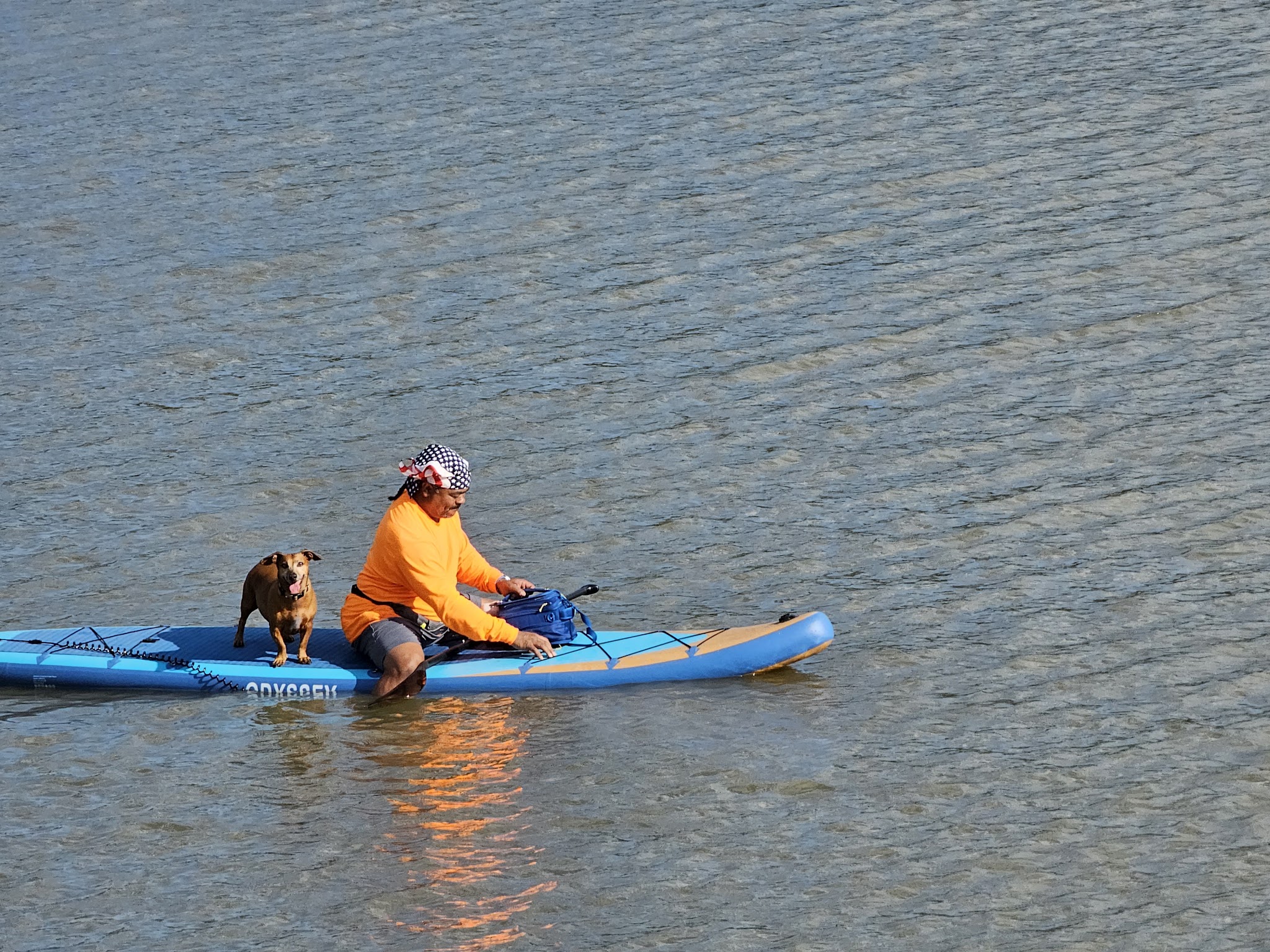 Cross Timbers State Park