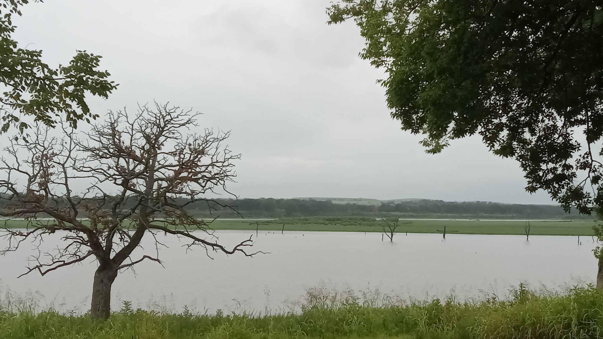 Cross Timbers State Park