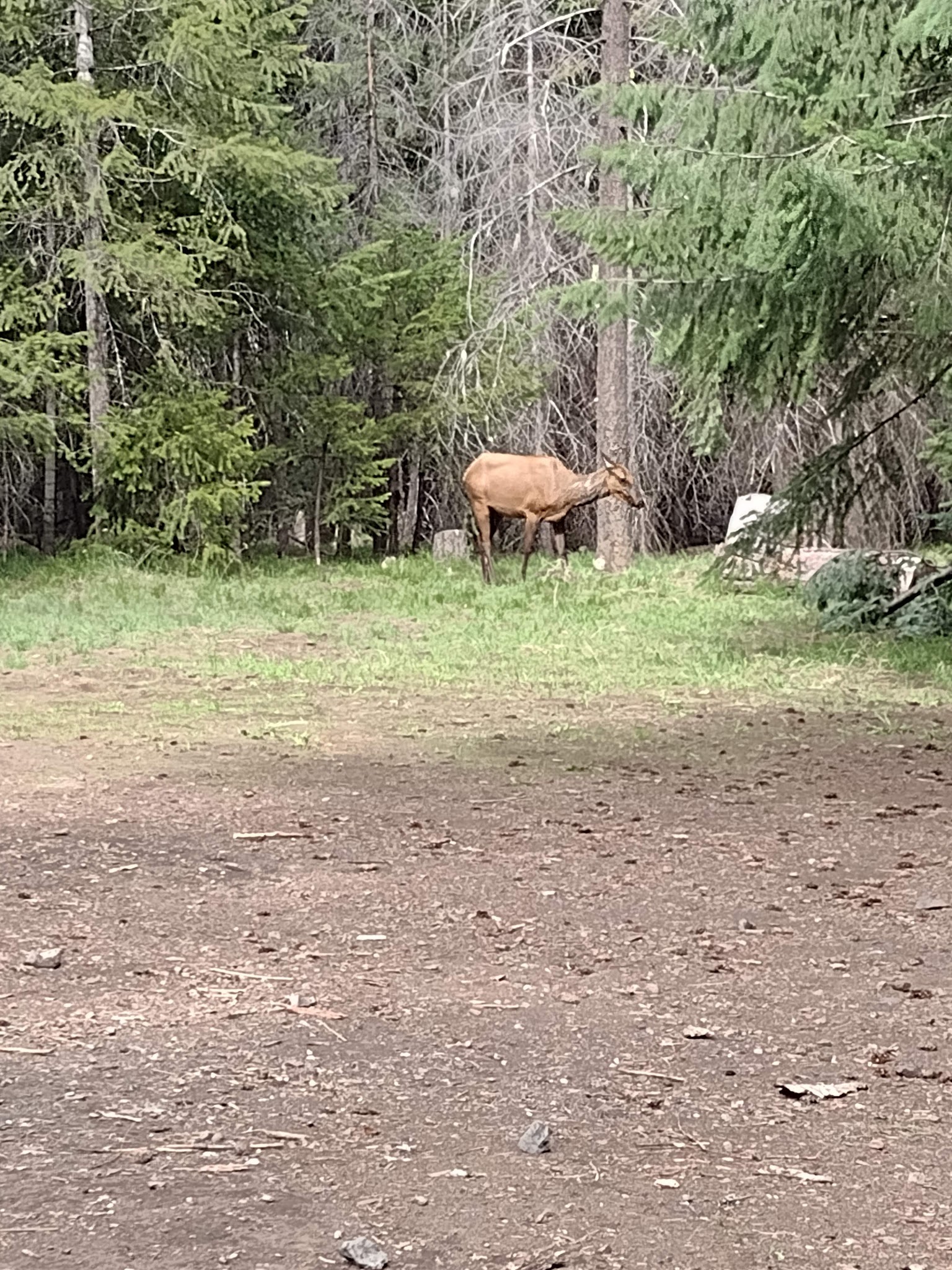 Crow Creek Campground