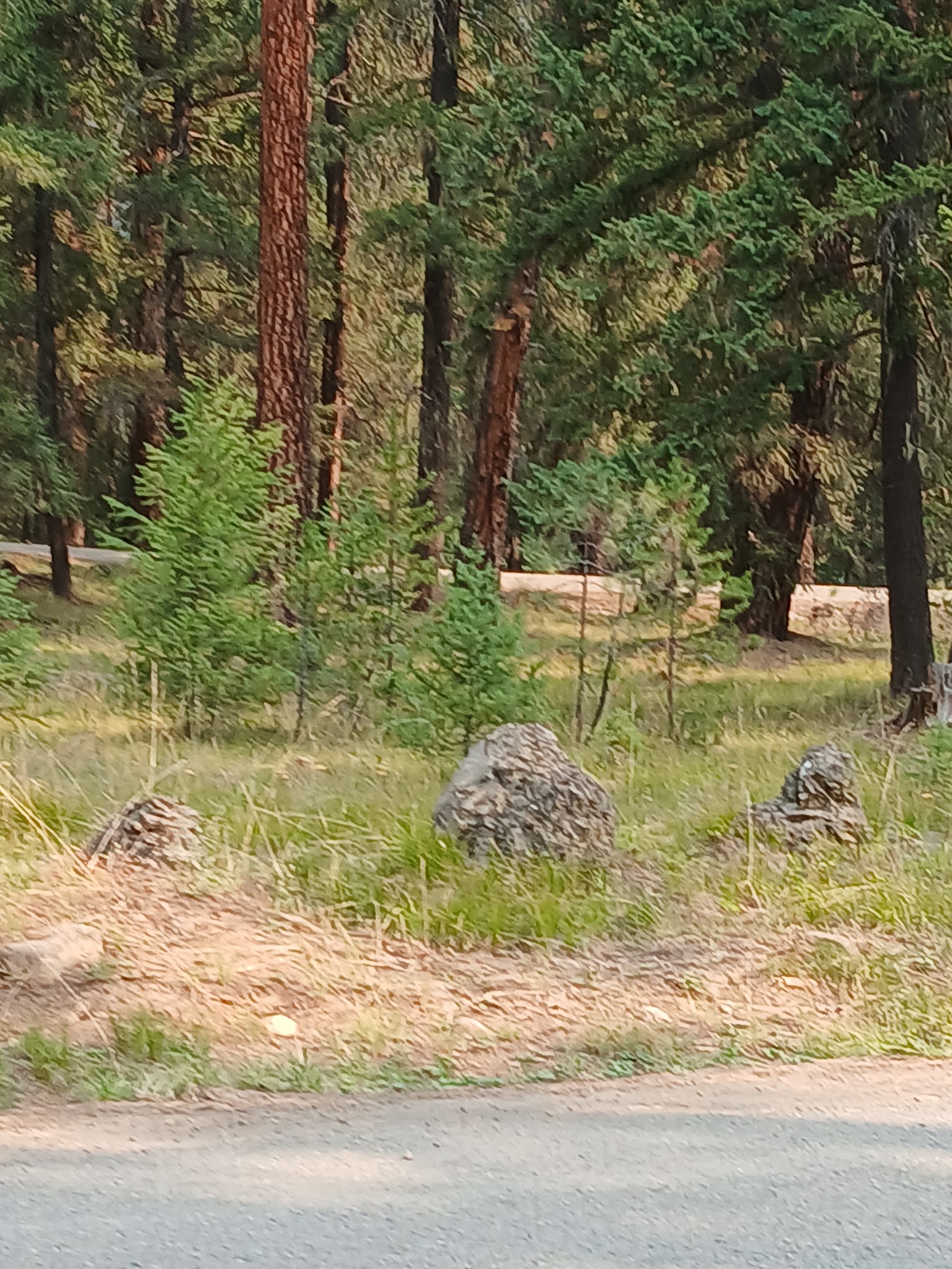 Crow Creek Campground