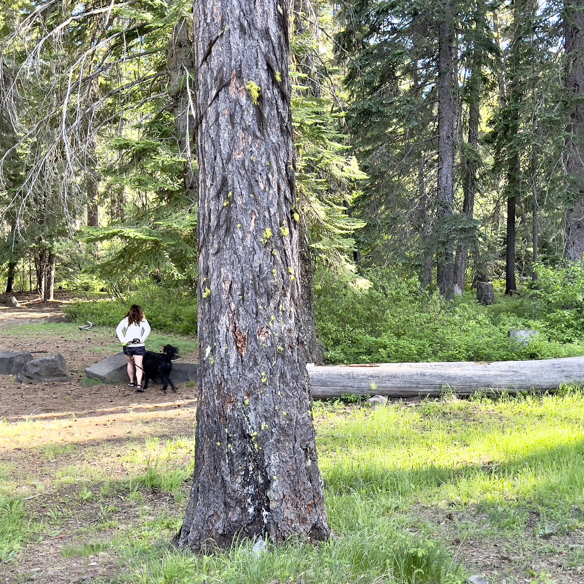 Crow Creek Campground