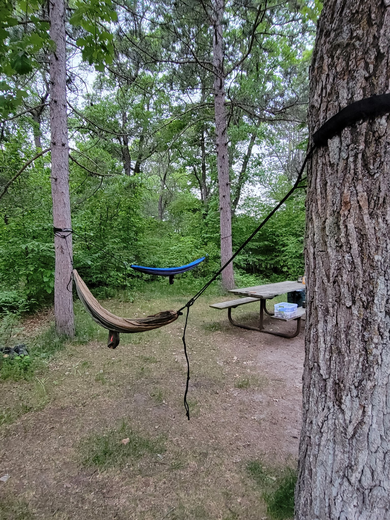 Crow Wing Campground