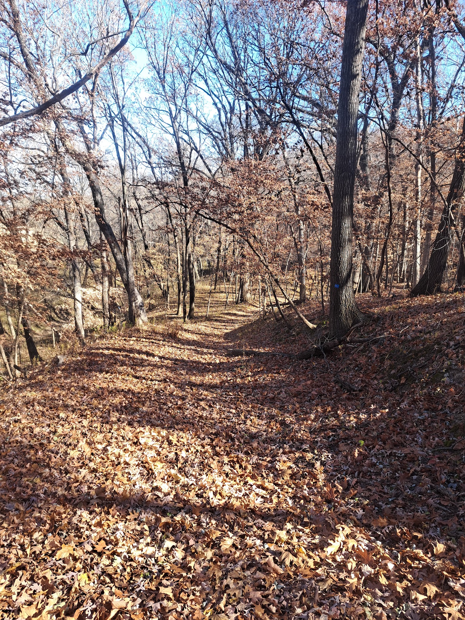 Crowder State Park Campground