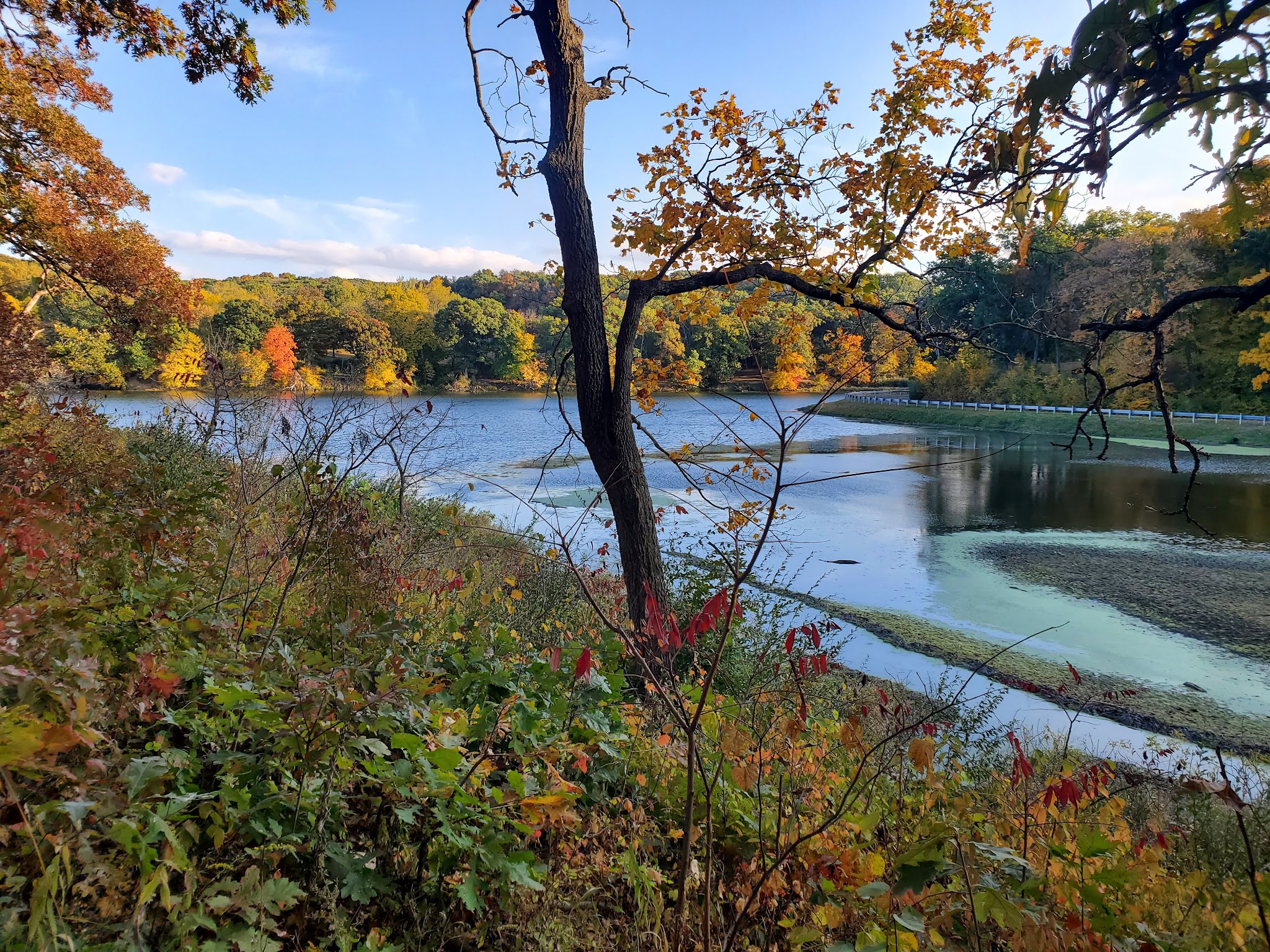 Crowder State Park Campground