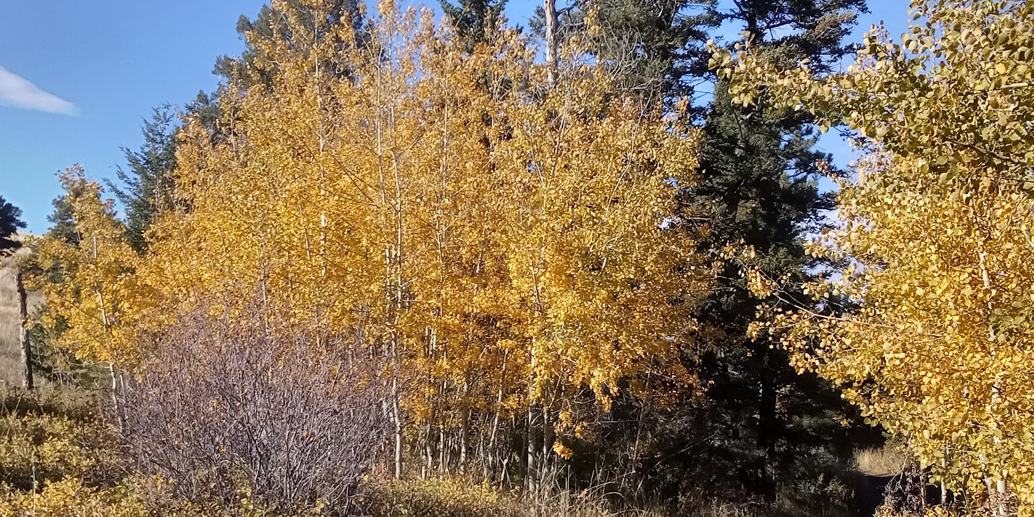 Crystal Creek Campground