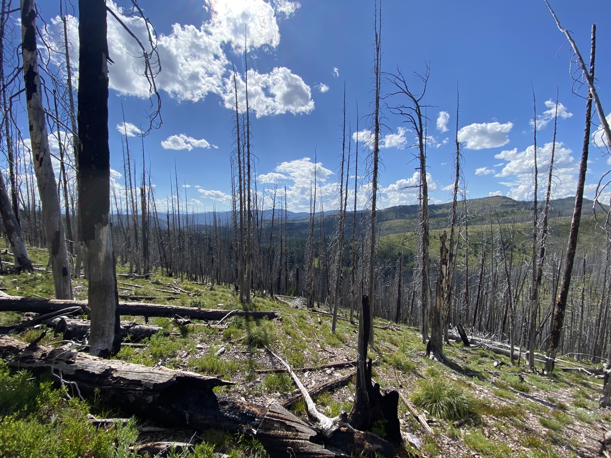 Crystal Creek Campground