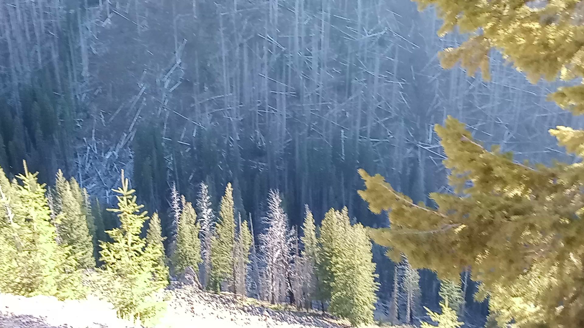 Crystal Creek Campground