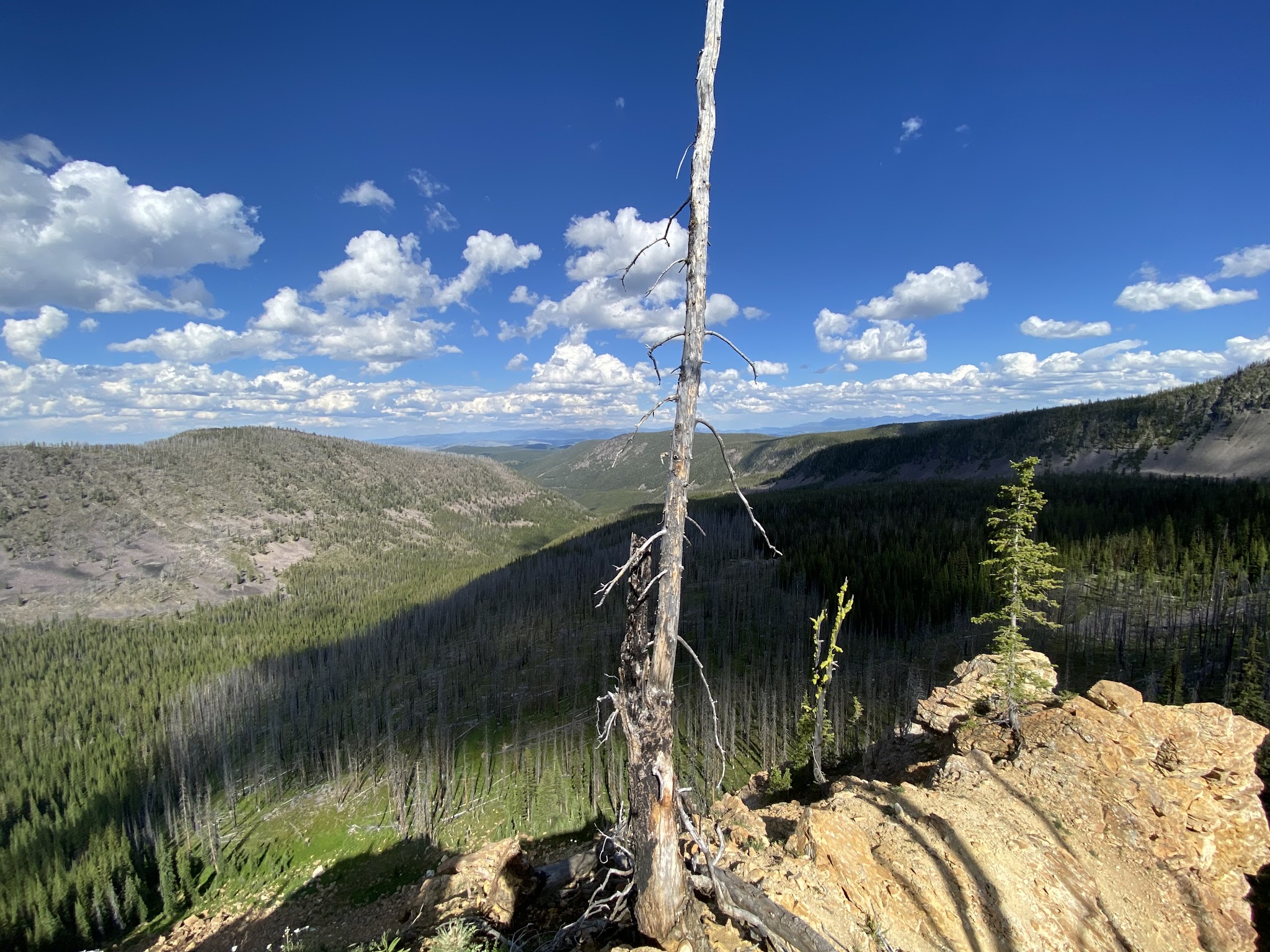 Crystal Creek Campground
