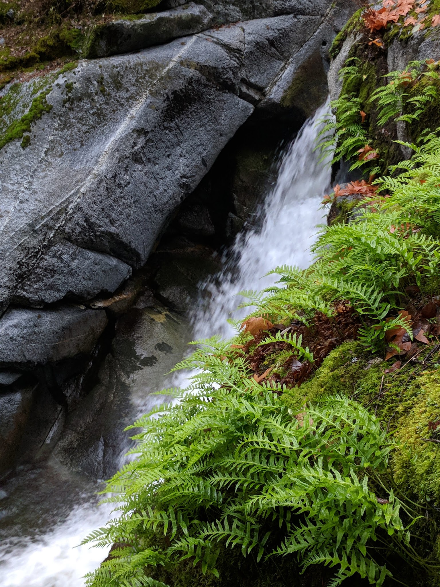 Crystal Creek Primitive Campground