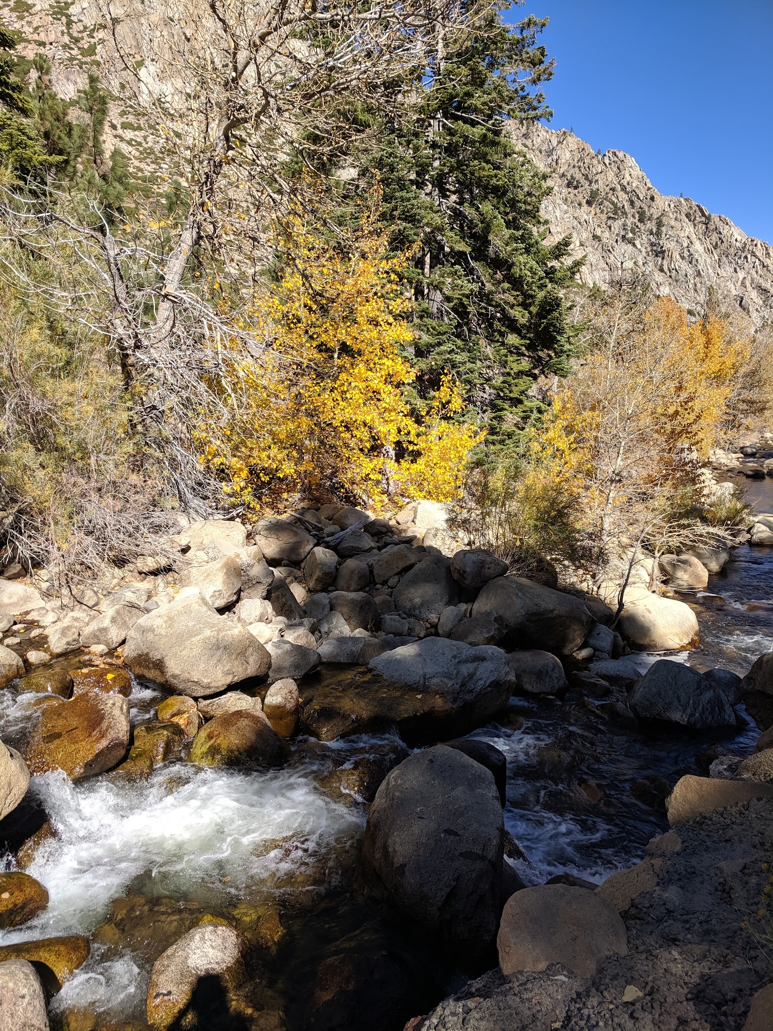 Crystal Springs Campground