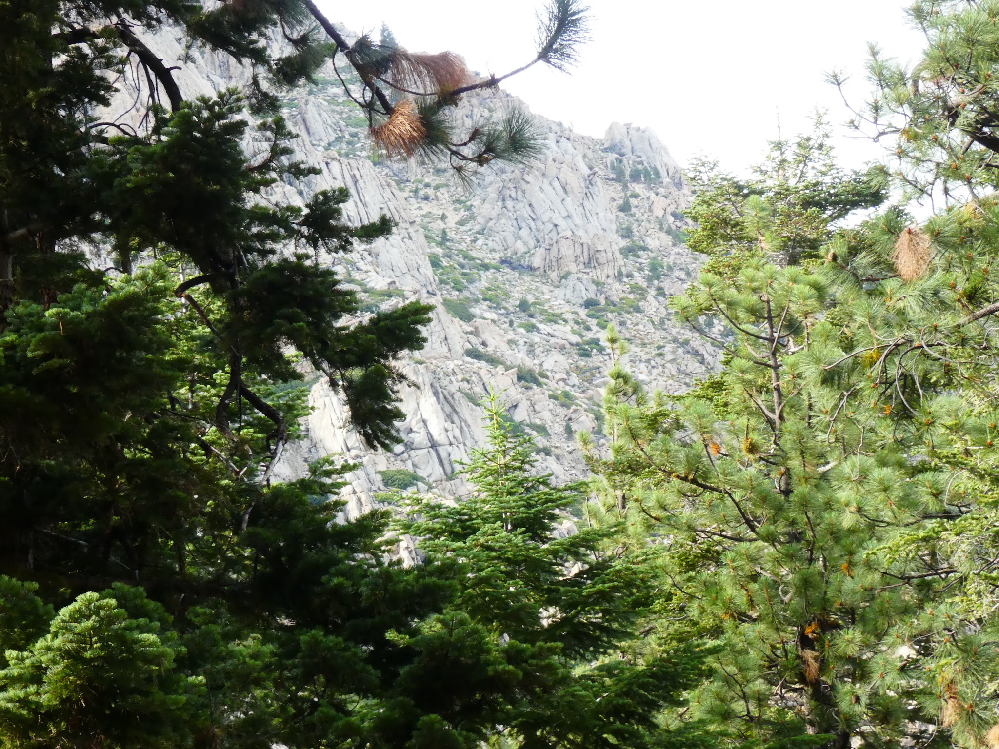 Crystal Springs Campground