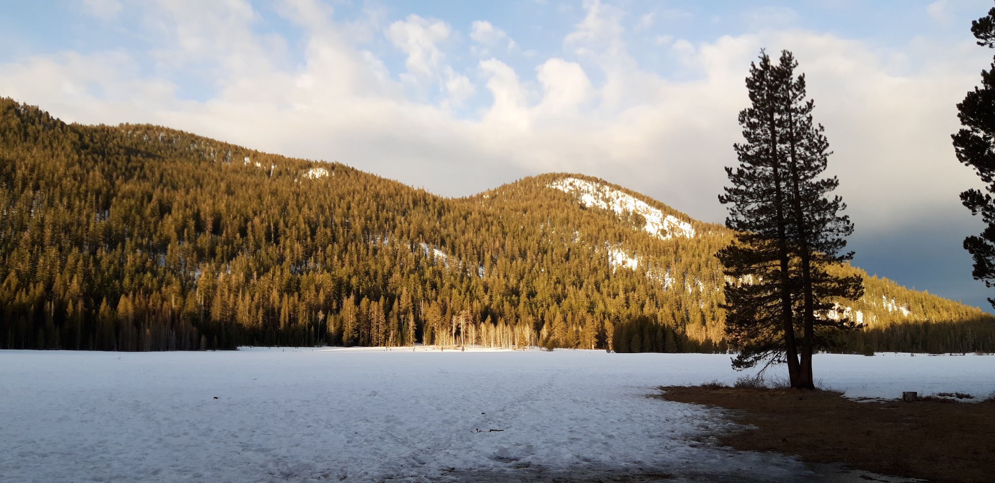 Crystal Springs Campground