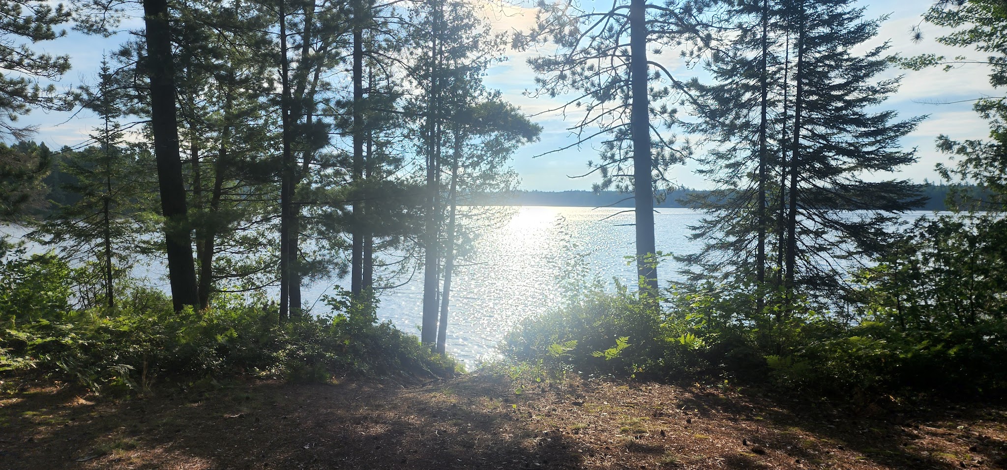 Culhane Lake State Forest Campground