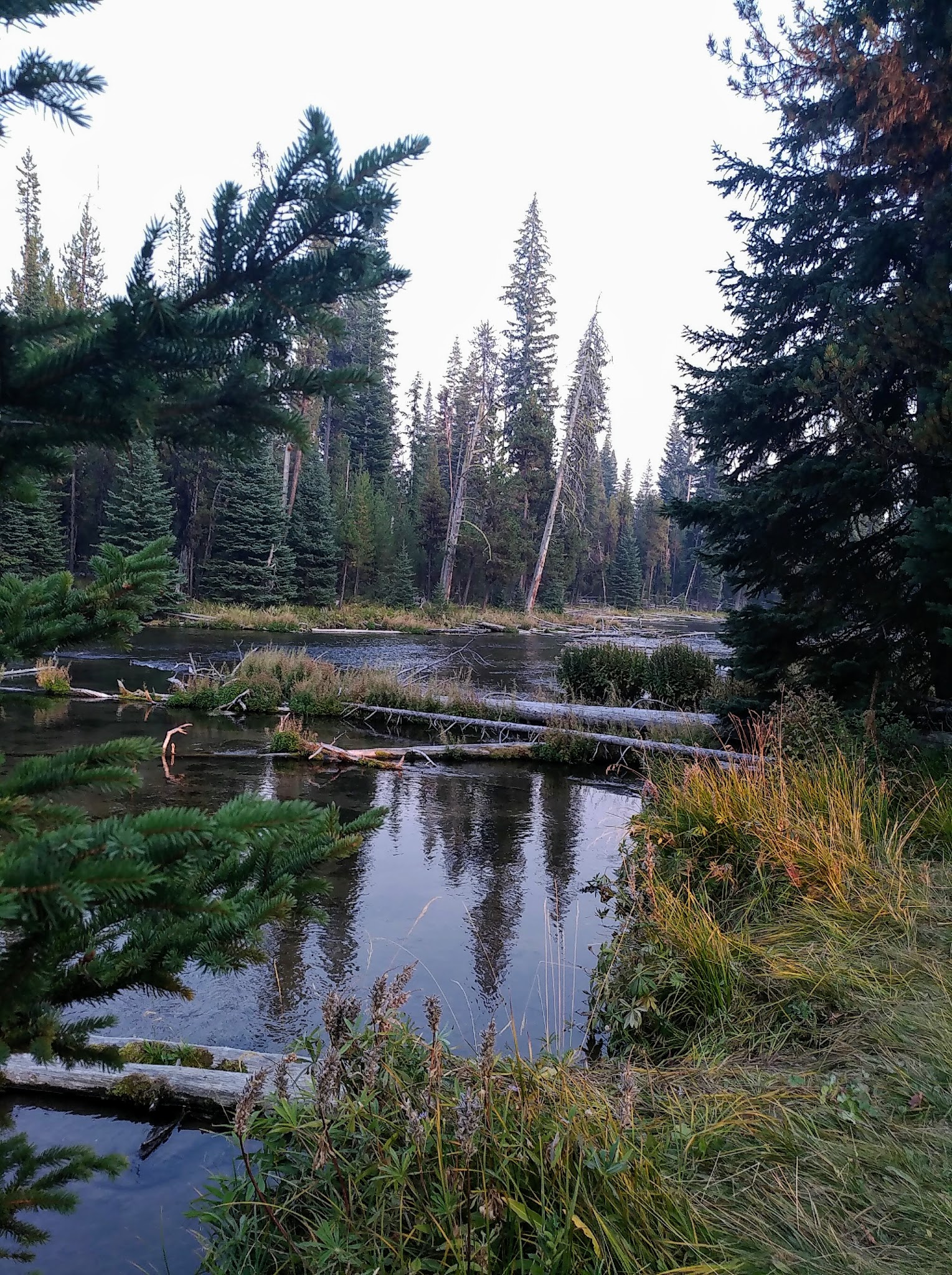 Cultus Corral Horse Camp