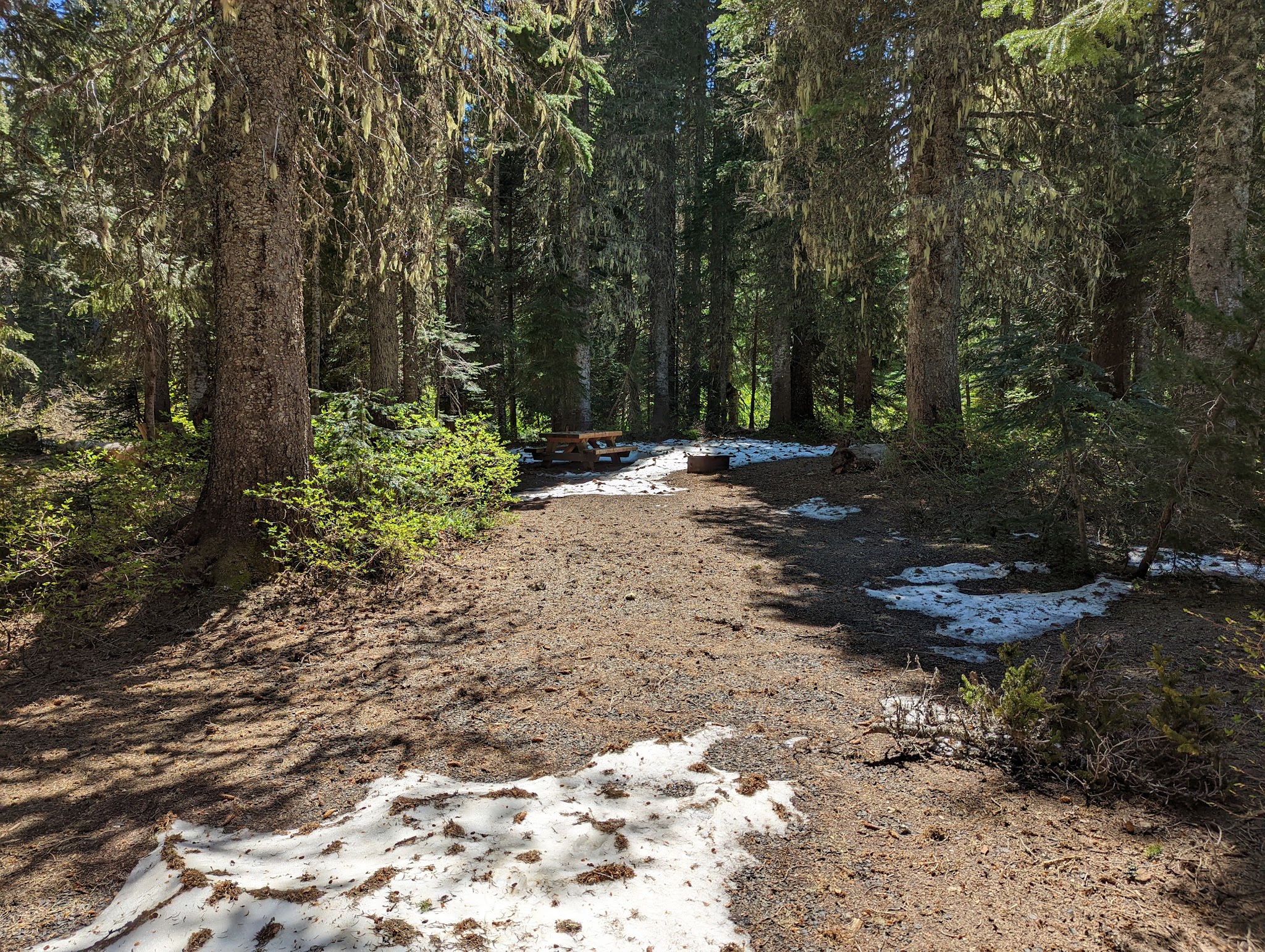 Campground: Cultus Creek