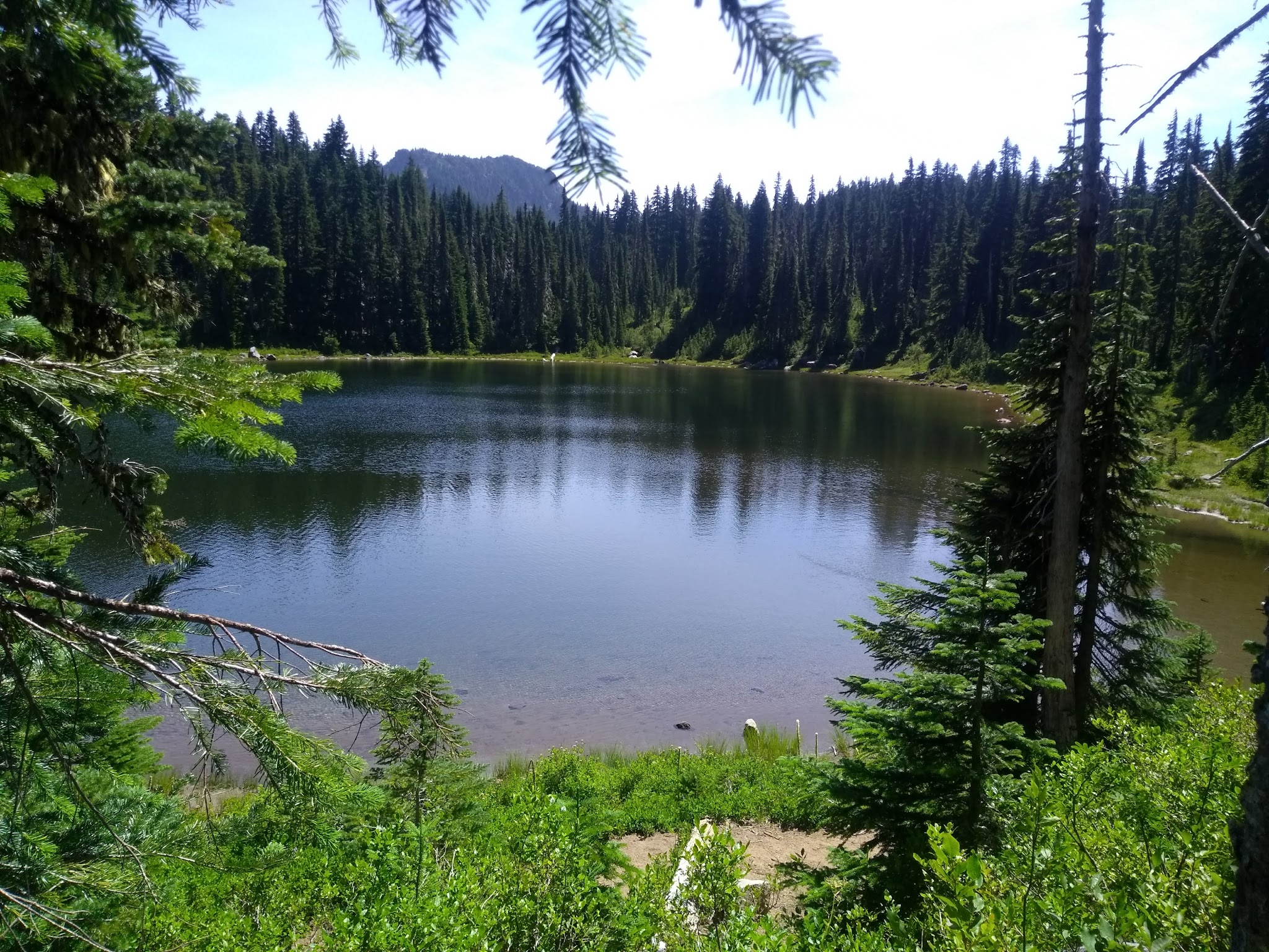 Campground: Cultus Creek