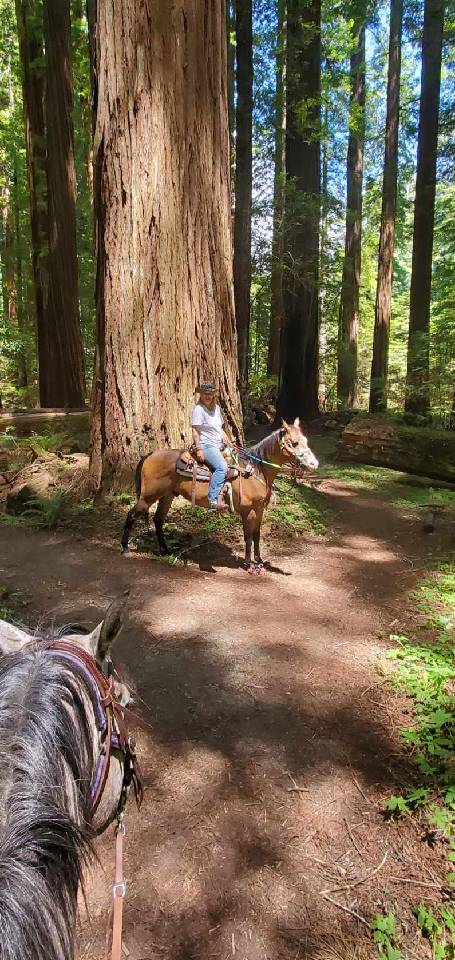 Cuneo Creek Horse Campground
