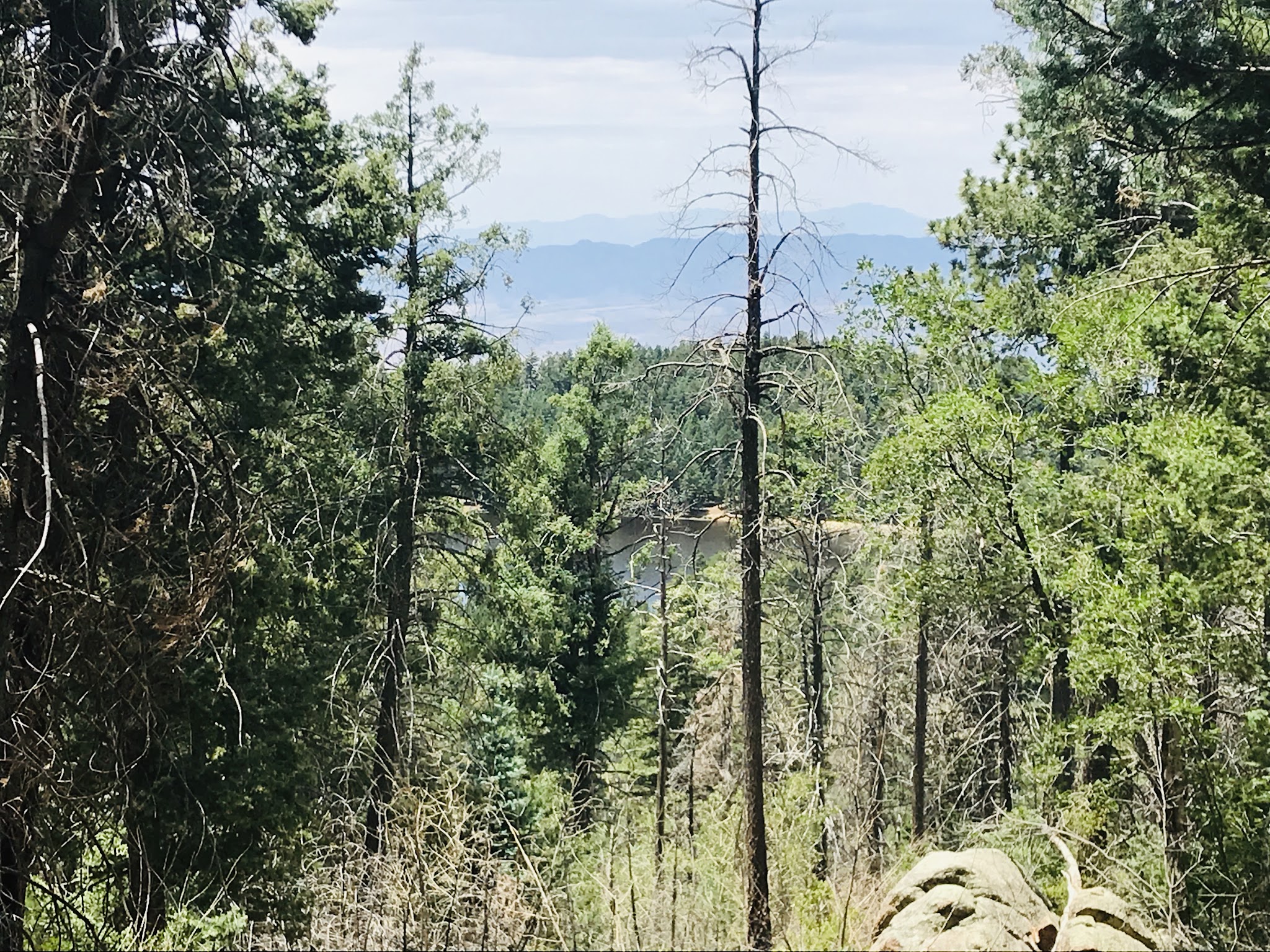 Cunningham Campground