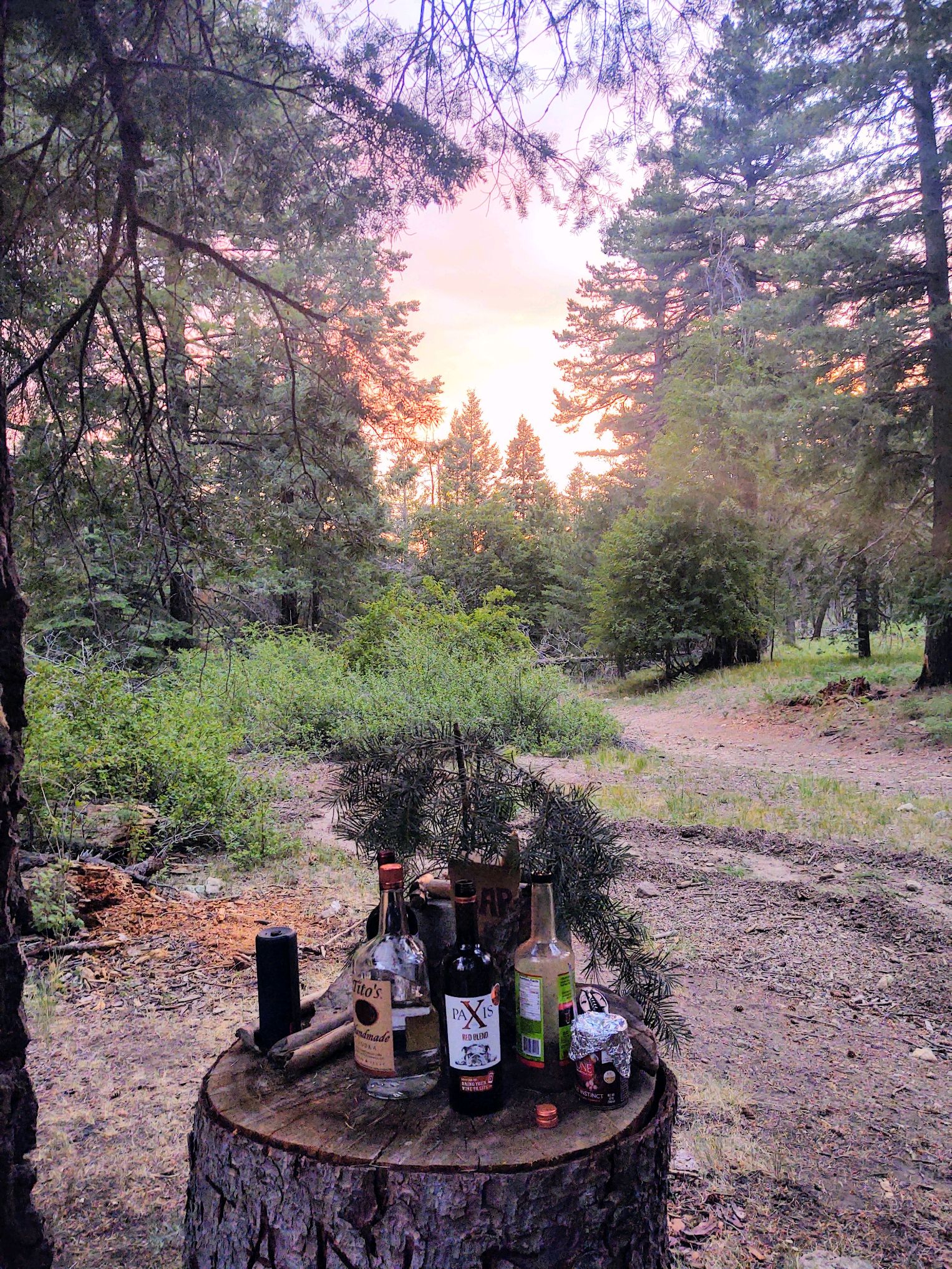 Cunningham Campground