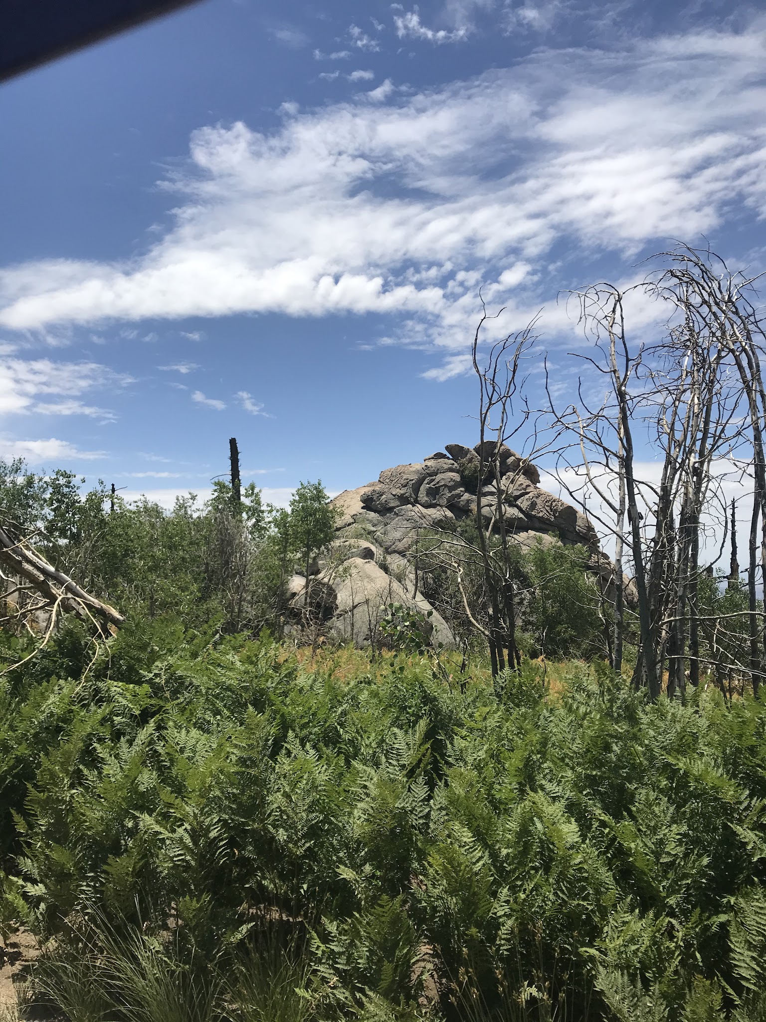 Cunningham Campground