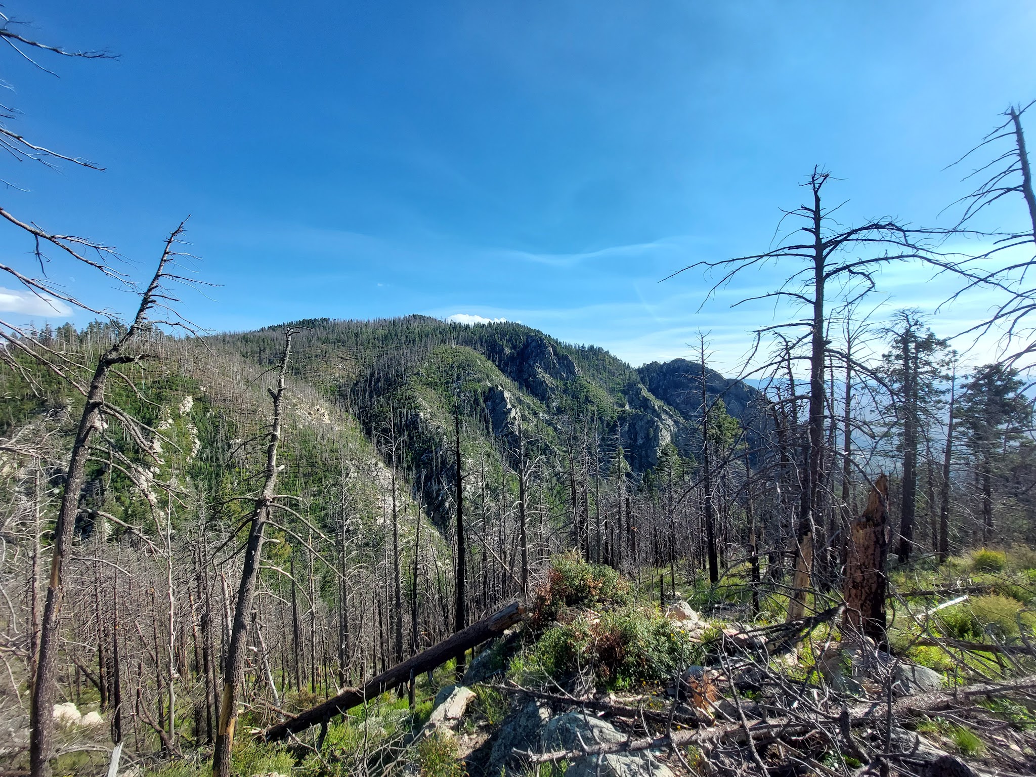 Cunningham Campground
