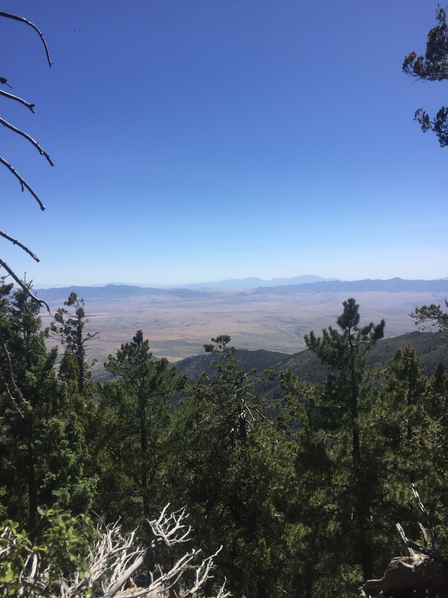 Cunningham Campground