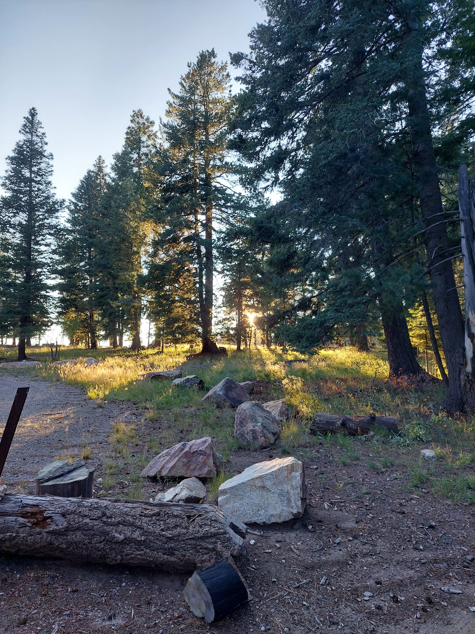 Cunningham Campground
