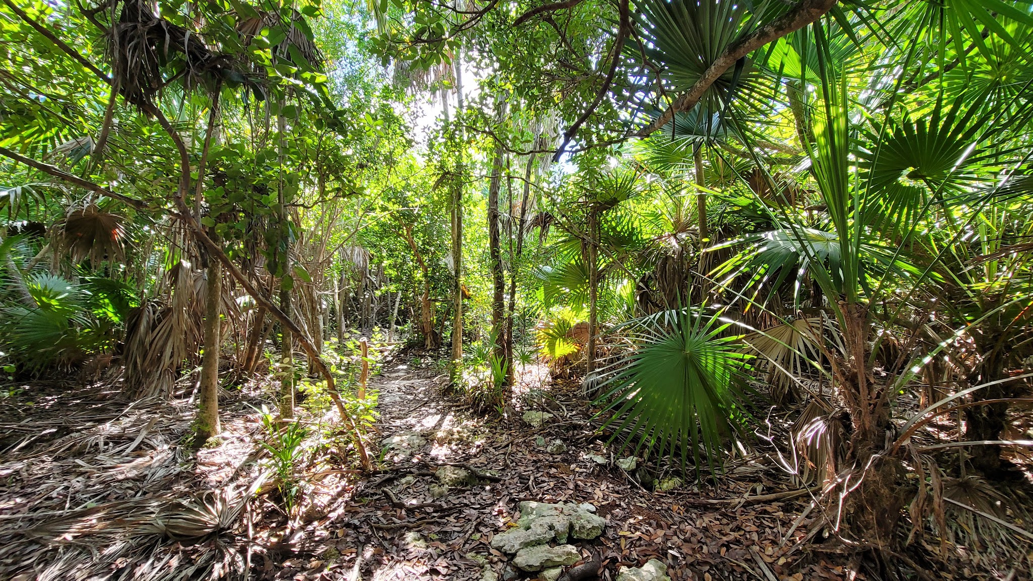 Curry Hammock State Park Campground