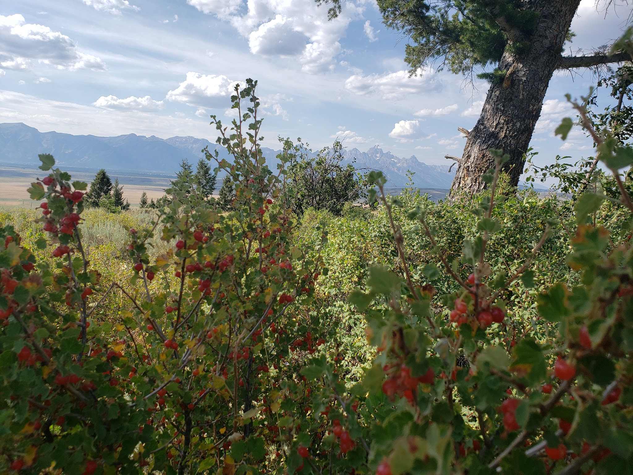 Curtis Canyon Campground