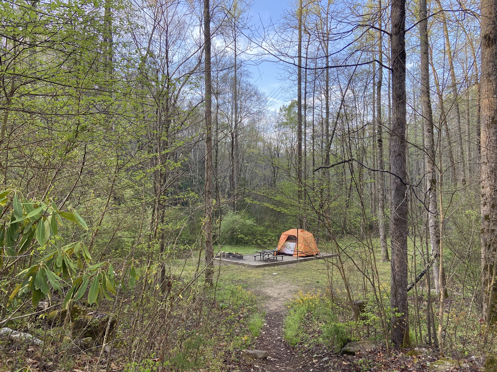 Curtis Creek Campground