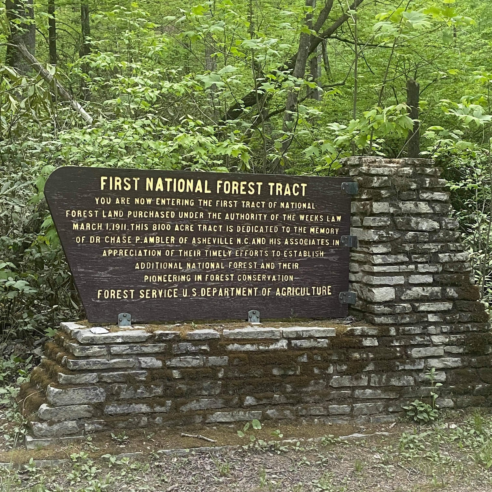 Curtis Creek Campground