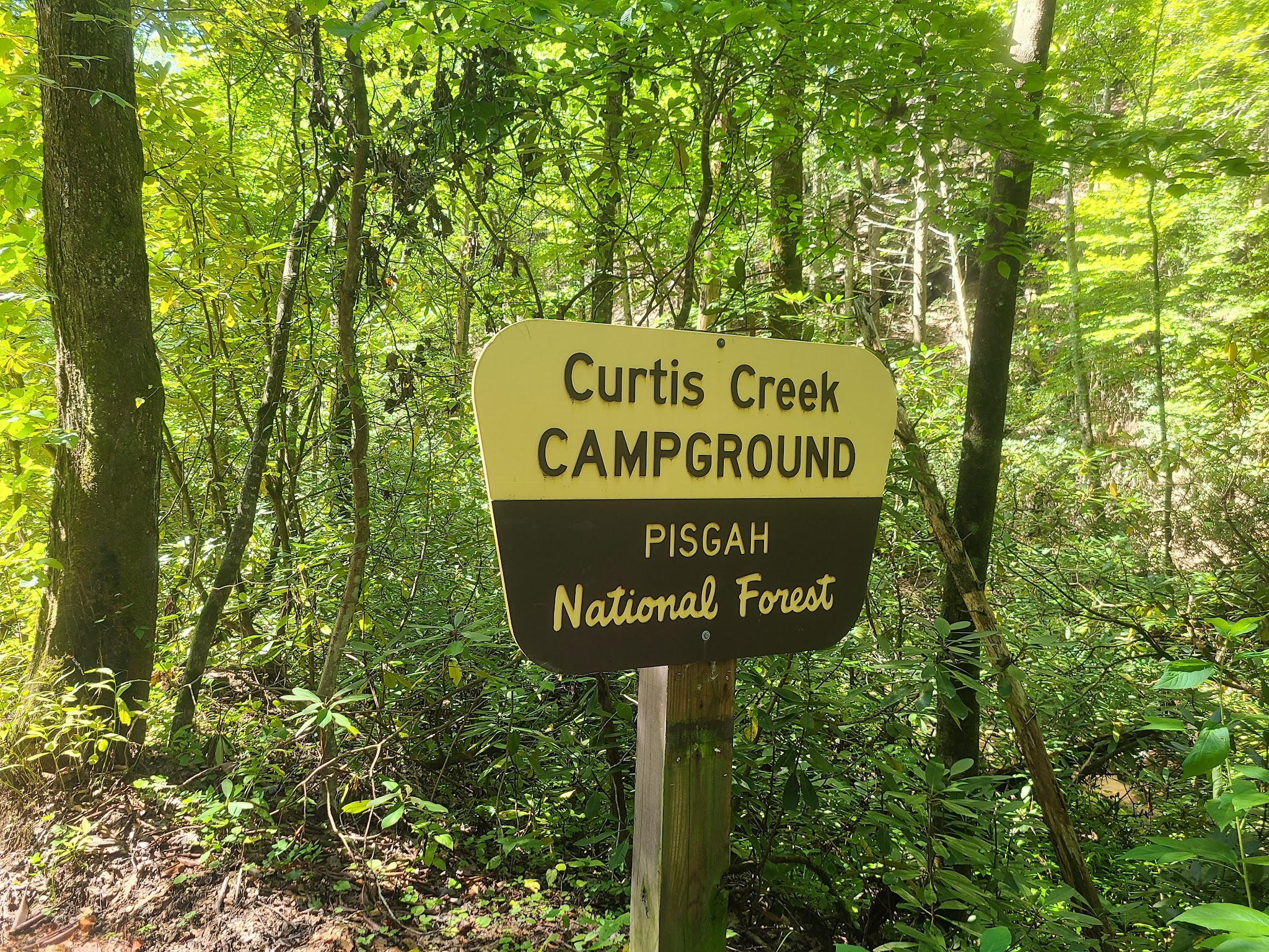 Curtis Creek Campground