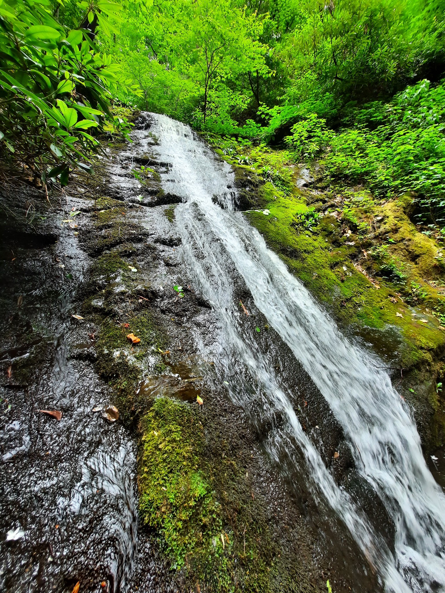 Curtis Creek Campground