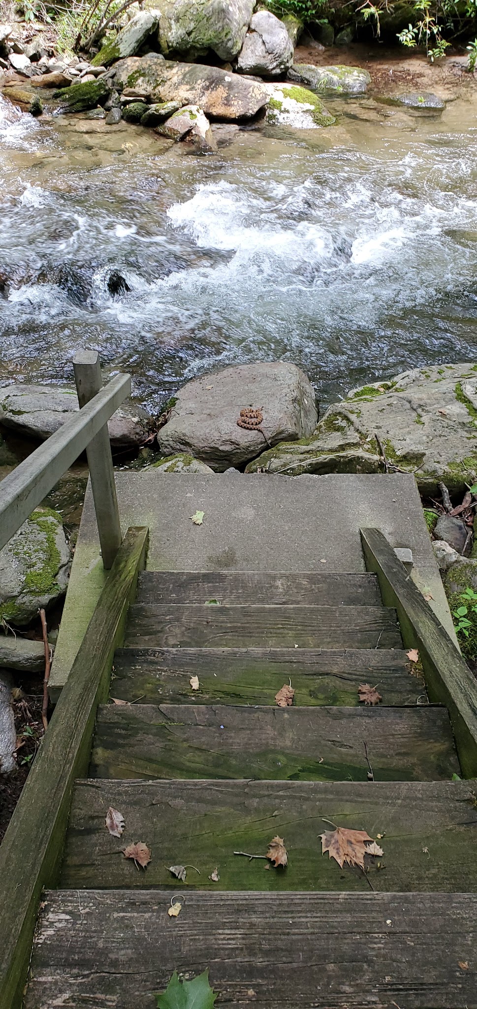 Curtis Creek Campground