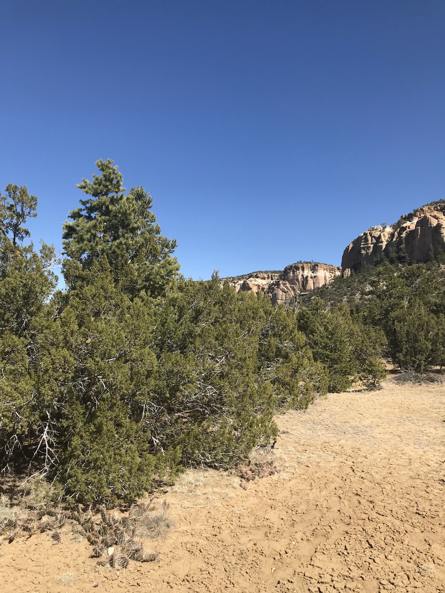 Curtis Gulch Campground