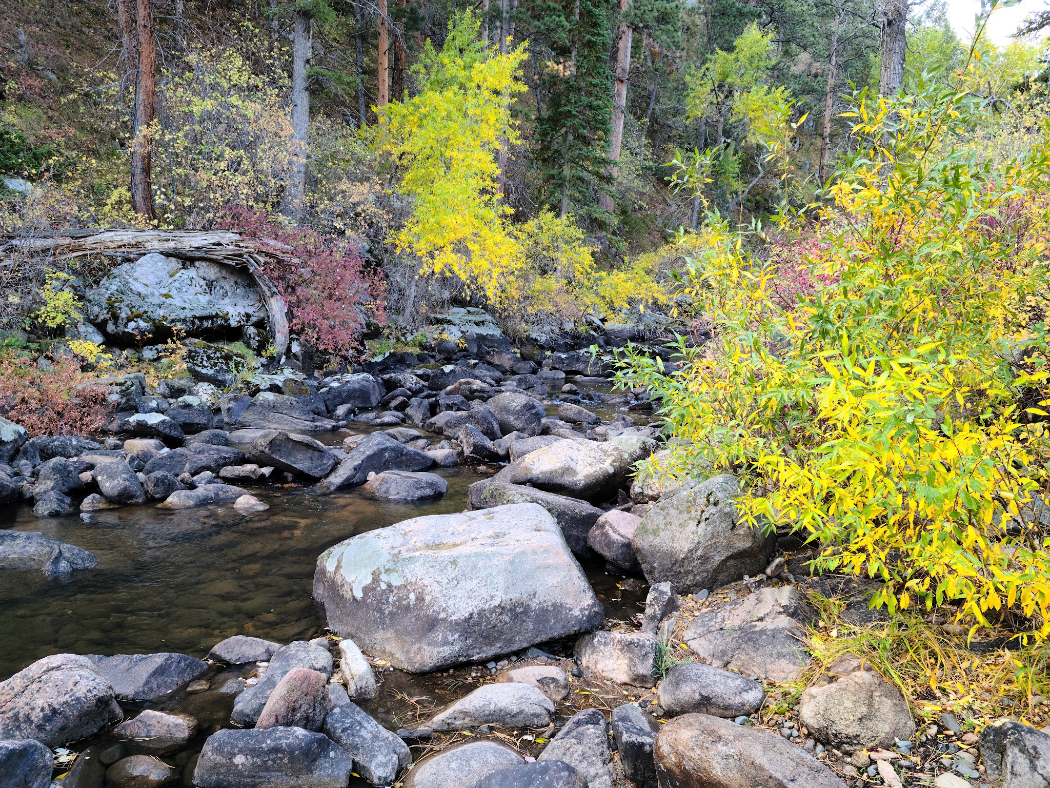 Curtis Gulch Campground