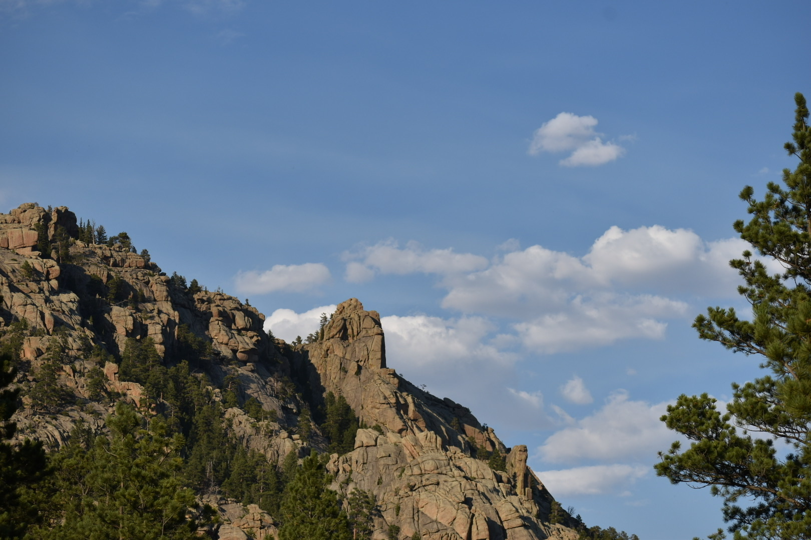 Curtis Gulch Campground