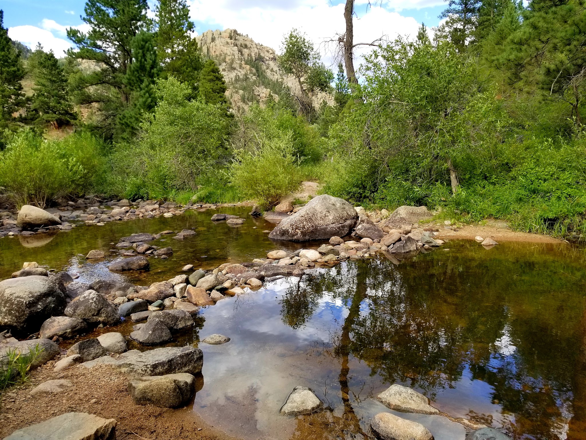 Curtis Gulch Campground