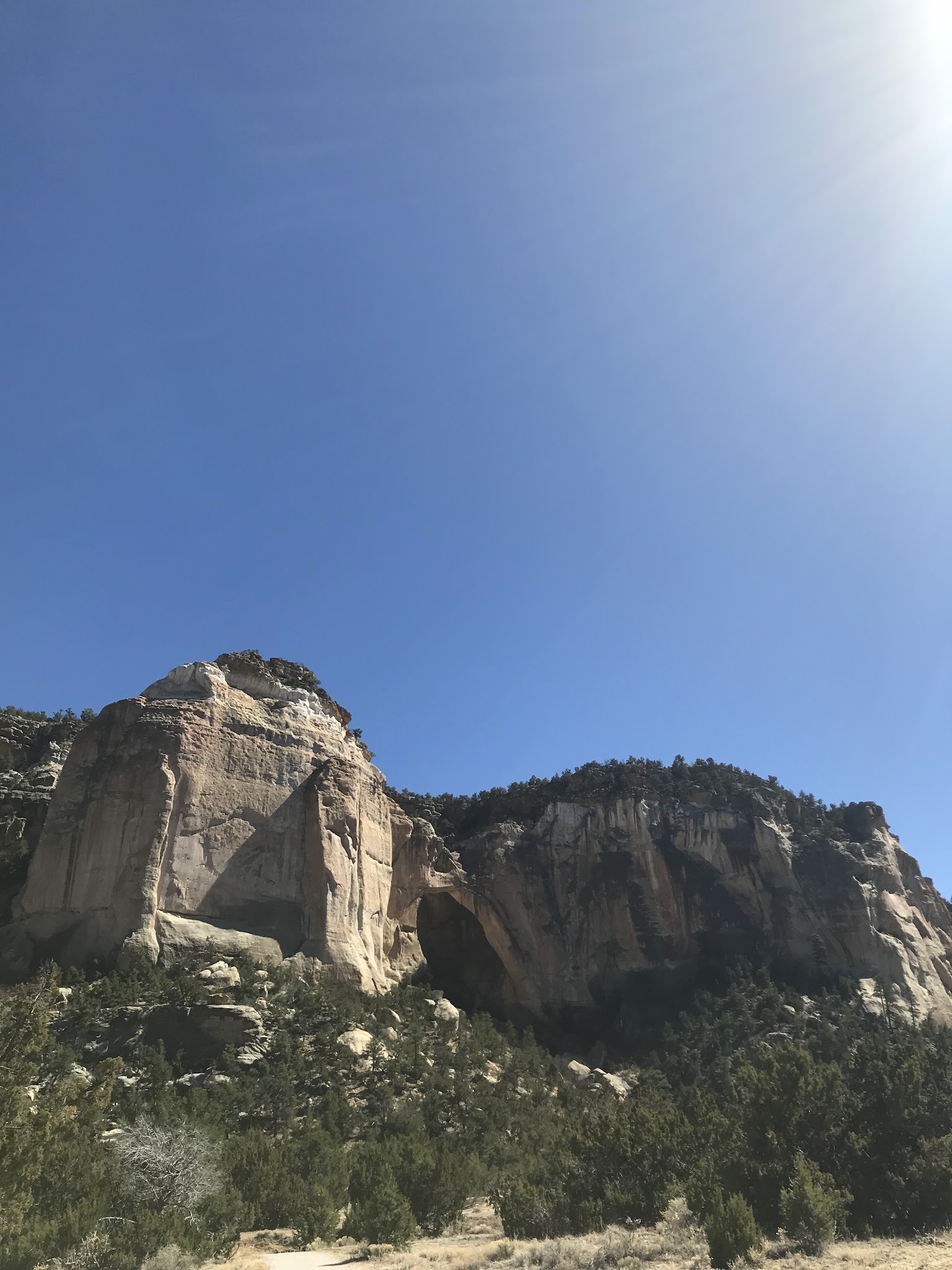 Curtis Gulch Campground