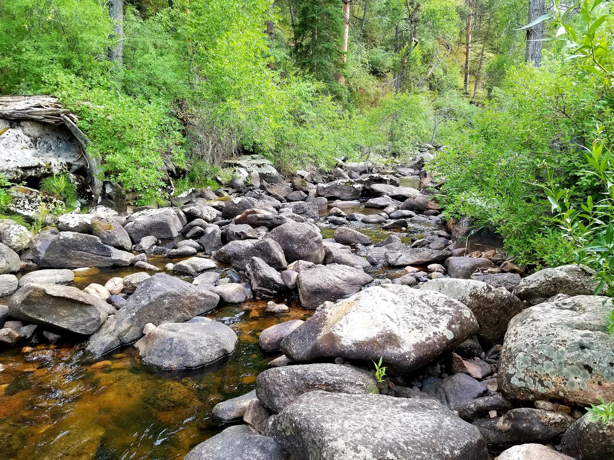 Curtis Gulch Campground