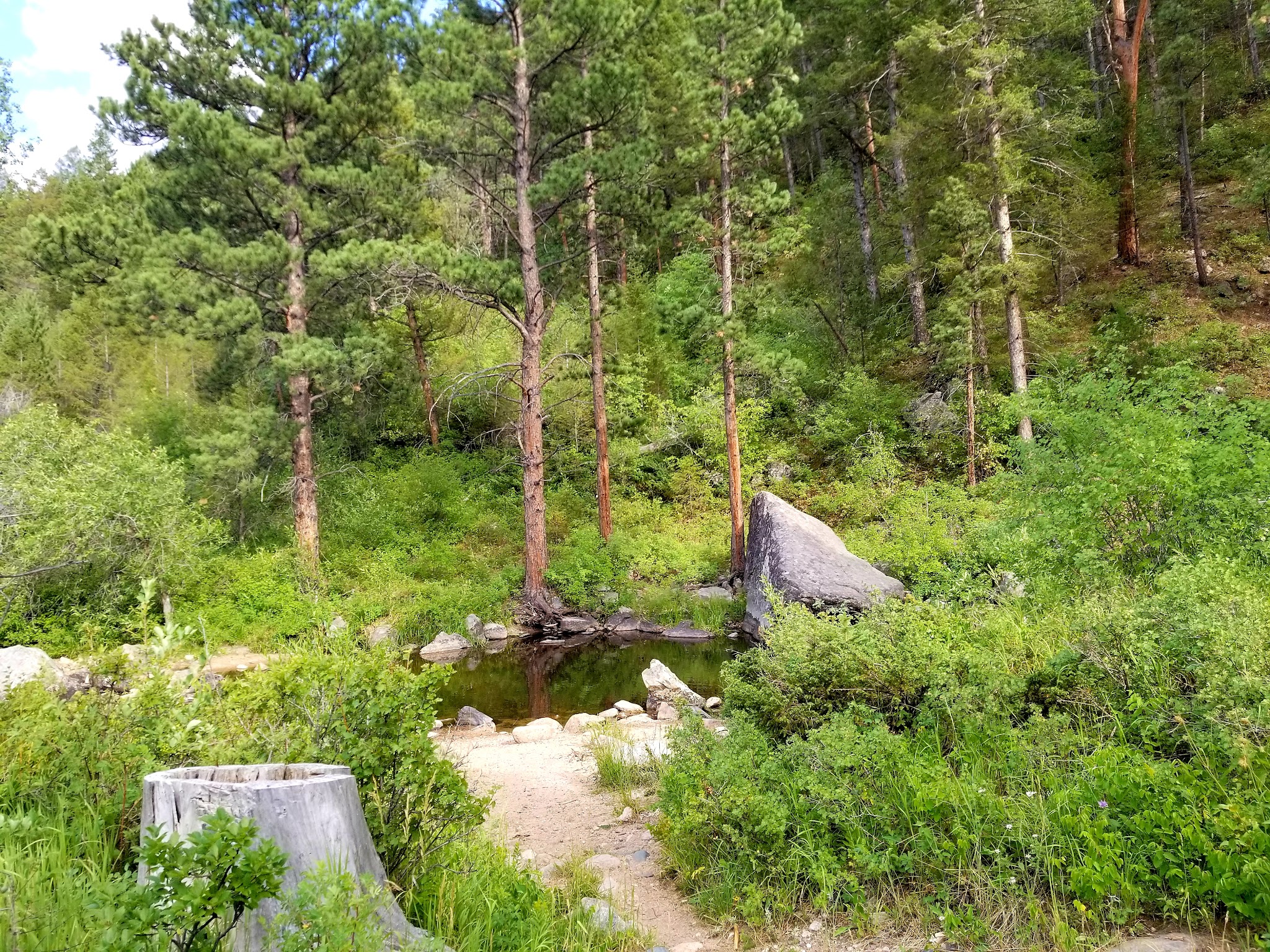 Curtis Gulch Campground
