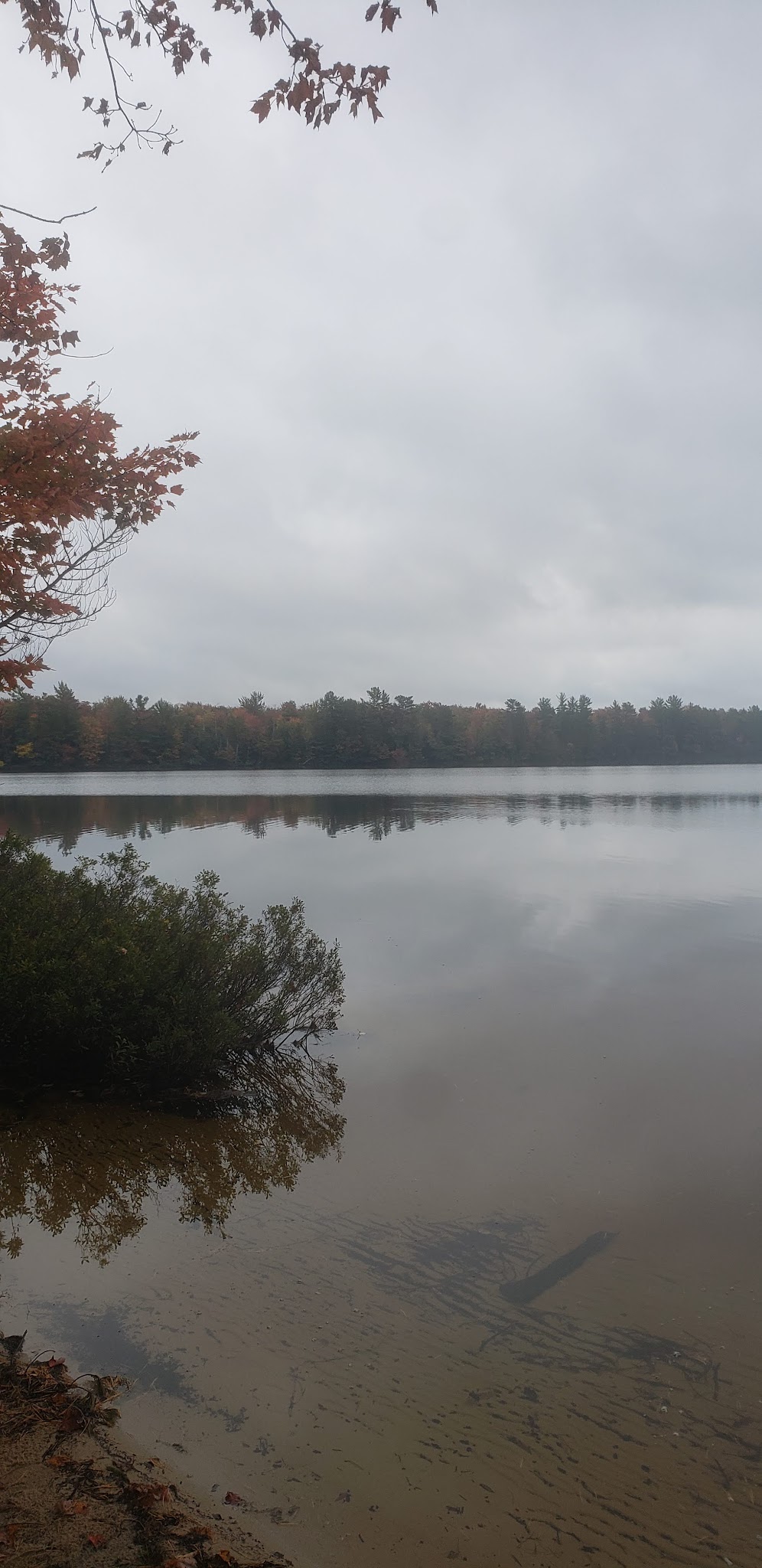 Cusino Lake State Forest Campground