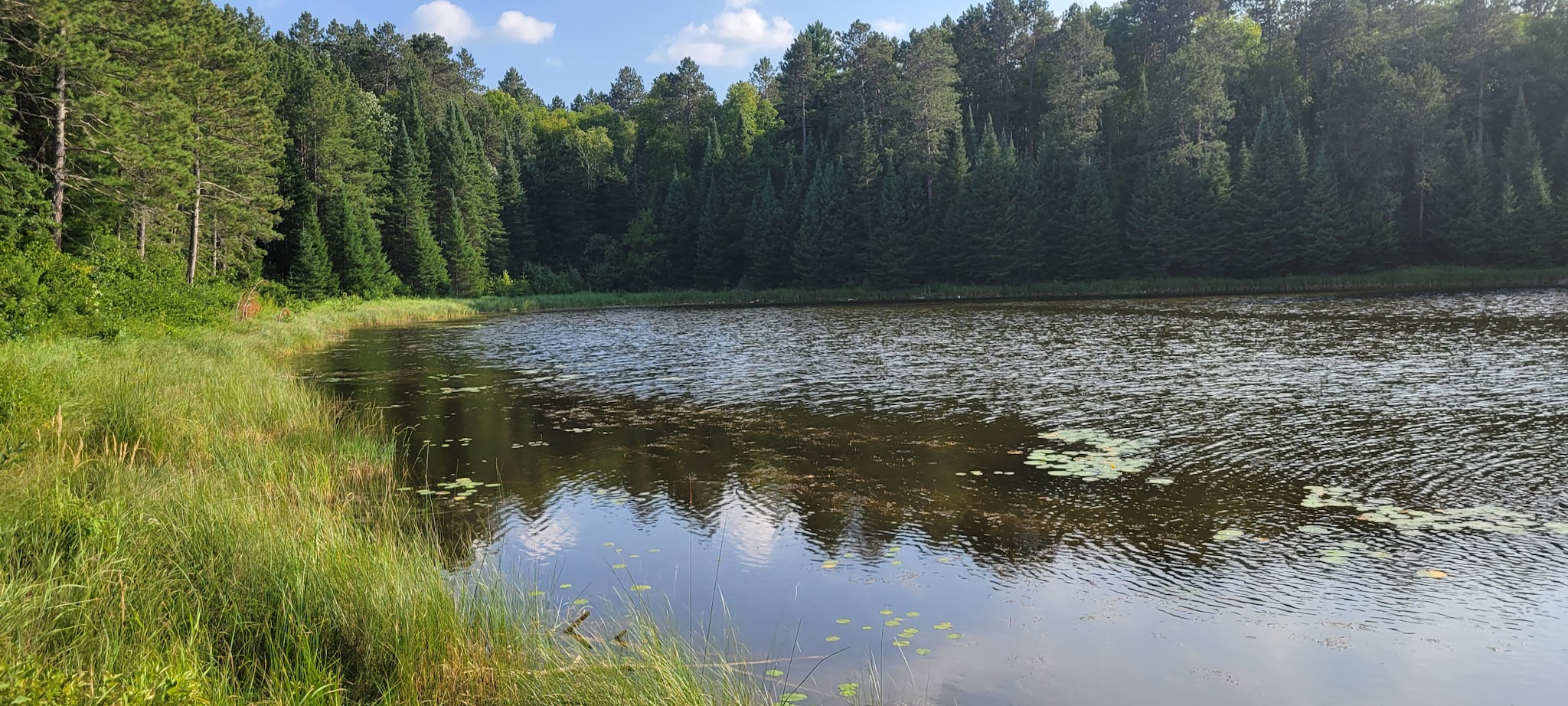 Cut Foot Horse Campground