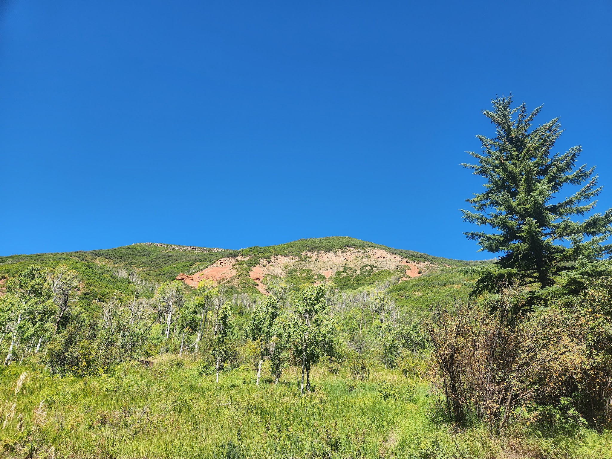 Trappers Lake / Cutthroat Campground