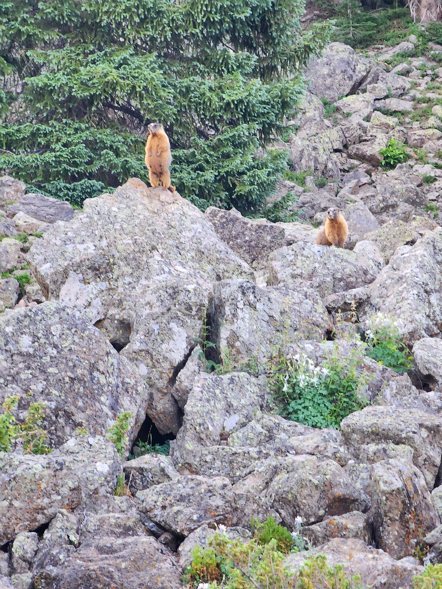 Trappers Lake / Cutthroat Campground
