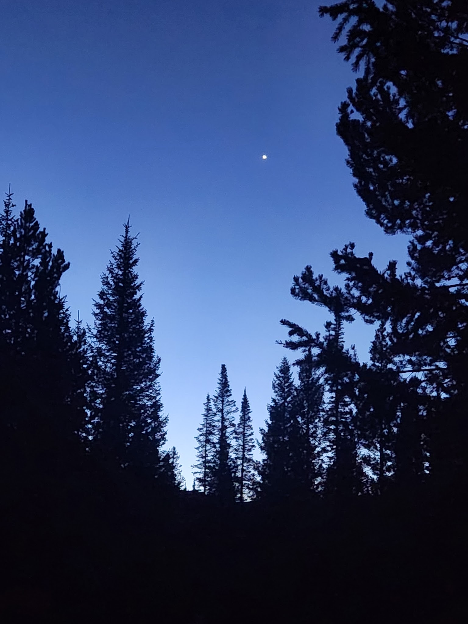 Trappers Lake / Cutthroat Campground