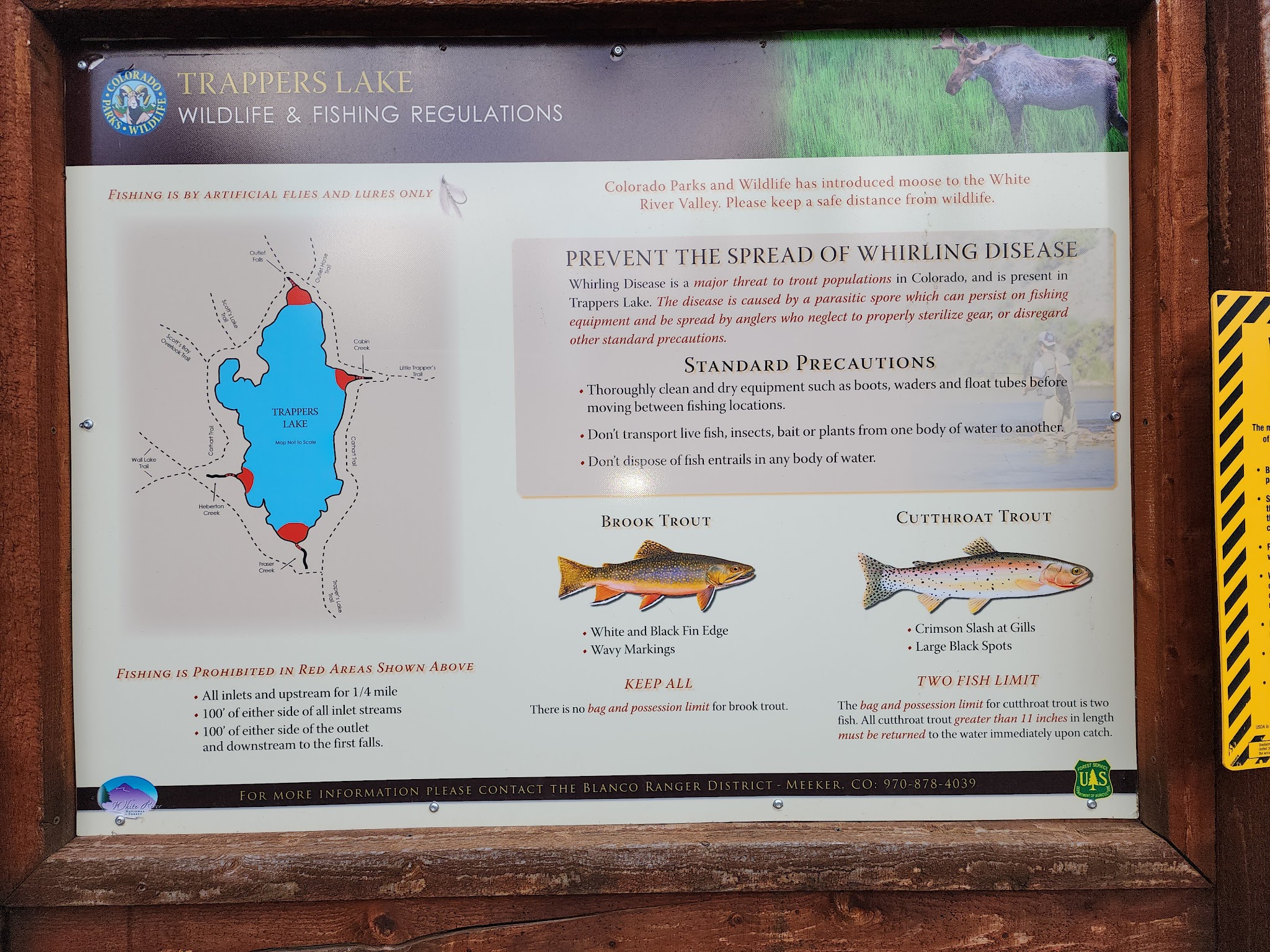 Trappers Lake / Cutthroat Campground