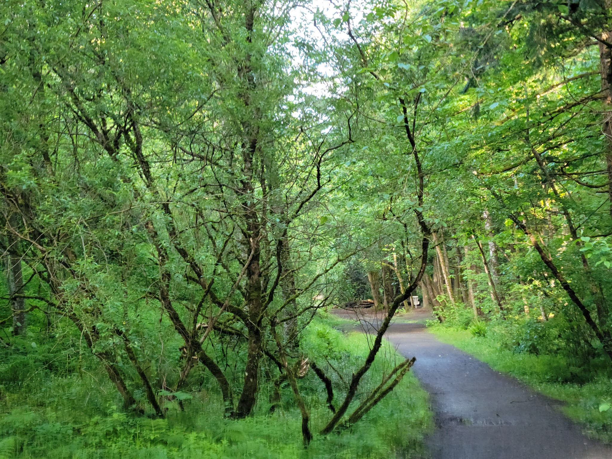 Dabney State Recreation Area