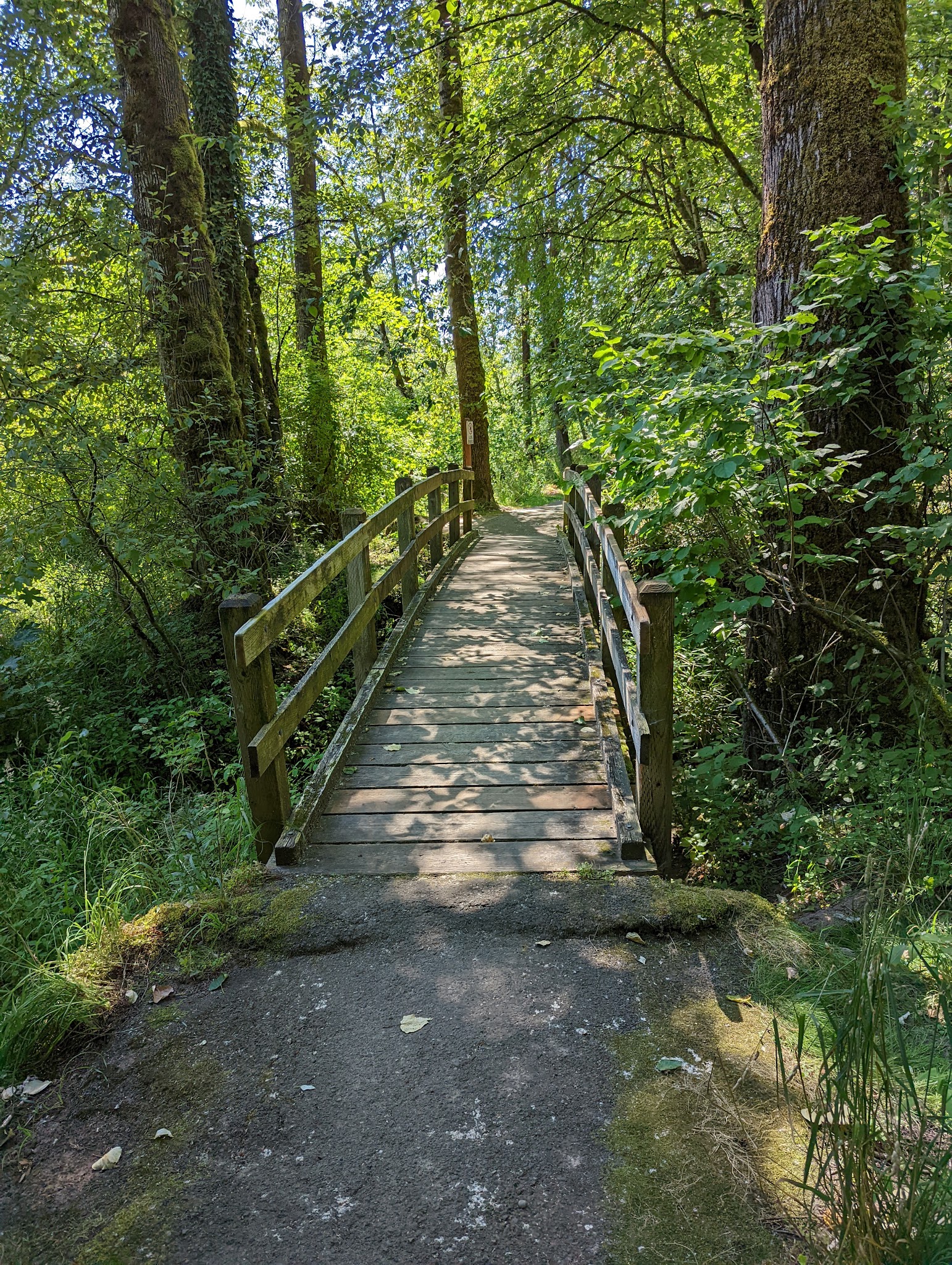 Dabney State Recreation Area